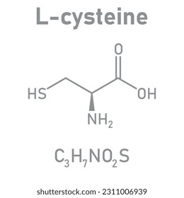 Chemical structure of L-cysteine (C3H7NO2S). Chemical resources for teachers and students. Vector illustration isolated on white background.