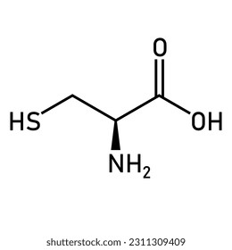 Chemische Struktur von L-Cystein (C3H7NO2S). Chemische Ressourcen für Lehrer und Studenten. Vektorgrafik einzeln auf weißem Hintergrund.