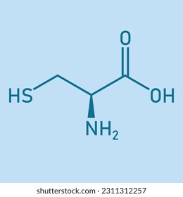 Chemical structure of L-cysteine (C3H7NO2S). Chemical resources for teachers and students. Vector illustration isolated on white background.