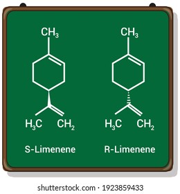 Chemical Structure Limonene C10h16 库存矢量图（免版税）1923859433 | Shutterstock