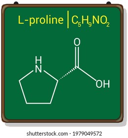 chemical structure of l-proline (C5H9NO2)