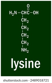 Chemical structure of the lysine 