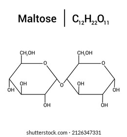 Chemical Structure Maltose C12h22o11 Stock Vector (Royalty Free ...