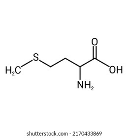 chemical structure of Methionine (C5H11NO2S)