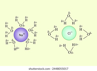 Chemical structure of Na+ and Cl-