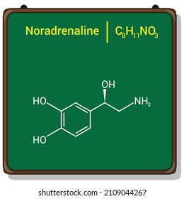 chemical structure of Norepinephrine (C8H11NO3)