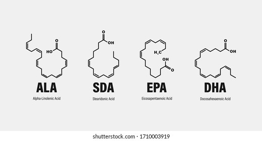 chemical structure of omega-3 fatty acids. Stearidonic Acid (SDA), Eicosapentaenoic Acid (EPA), Docosahexaenoic Acid (DHA) and Alpha-linolenic Acid (ALA).