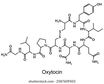 Chemical structure of oxytocin hormone