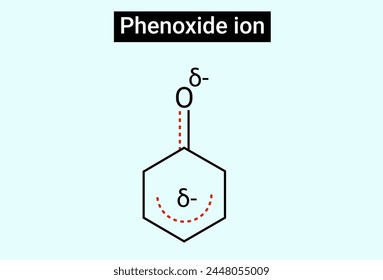 Chemische Struktur von Phenoxidionen