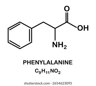 Estructura química del compuesto de fenilalanina.