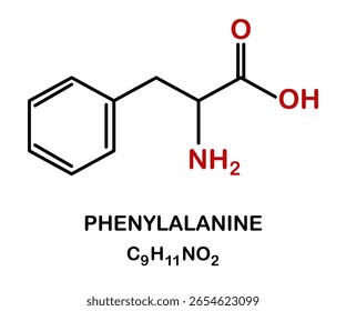 Estructura química del compuesto de fenilalanina.