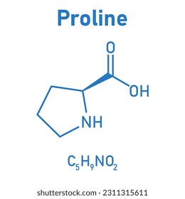 Chemical structure of proline (C5H9NO2). Chemical resources for teachers and students. Vector illustration isolated on white background.