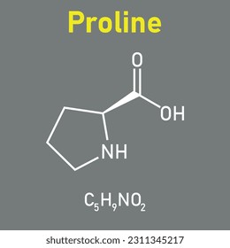 Chemical structure of proline (C5H9NO2). Chemical resources for teachers and students. Vector illustration isolated on white background.