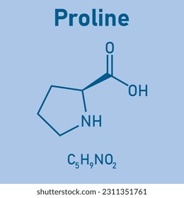Chemical structure of proline (C5H9NO2). Chemical resources for teachers and students. Vector illustration isolated on white background.