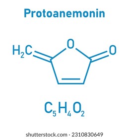 Chemical structure of Protoanemonin (C5H4O2). Chemical resources for teachers and students. Vector illustration isolated on white background.