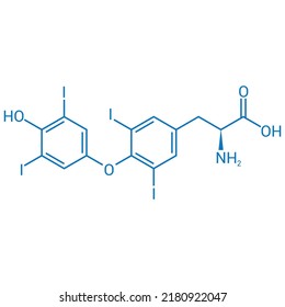 chemical structure of thyroxine (C15H11I4NO4)