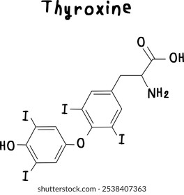 chemical structure of thyroxine on transparency backgroud