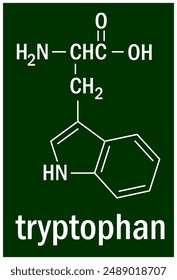 Chemical structure of the tryptophan 