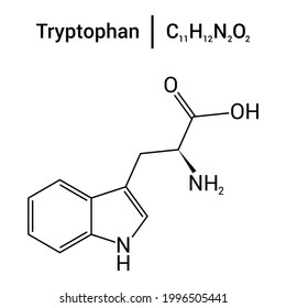 Chemical Structure Of Tryptophan (C11H12N2O2)