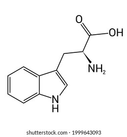 Chemical Structure Of Tryptophan (C11H12N2O2)