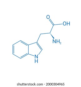 Chemical Structure Of Tryptophan (C11H12N2O2)