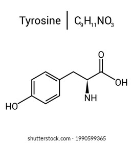 Chemical Structure Of Tyrosine (C9H11NO3)