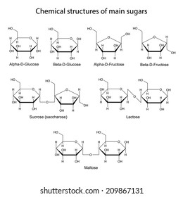Chemical structures of main sugars: mono- and disaccharides, 2d illustration, isolated on white background, skeletal style, vector, eps8