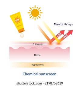 Chemical sunscreen absorbs UV rays vector on white background. How to chemical sunscreen works on layer skin. Skin care and beauty concept illustration.