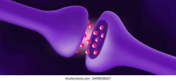 Vector de sinapsis química. Comunicación neuronal. Transmisión sináptica. Células presinápticas y postsinápticas.