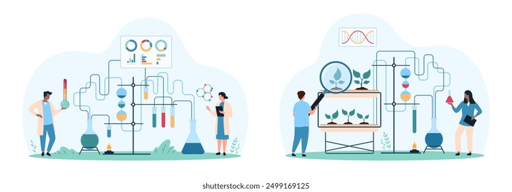 Conjunto de investigación en química, biología y biotecnología. Pequeñas personas estudian con lupa las plantas de crecimiento, la reacción en los reactivos en tubos de ensayo, el sistema de tuberías y la Ilustración vectorial de dibujos animados del quemador del laboratorio