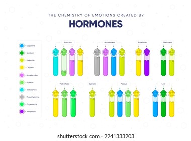 The chemistry of emotions created by hormones. Dependence of the state and mood of the person on hormonal background. Names of hormones and medical flasks filled with hormones. Vector illustration