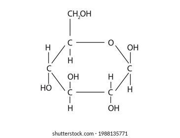 33 Formation glycosidic bond Images, Stock Photos & Vectors | Shutterstock