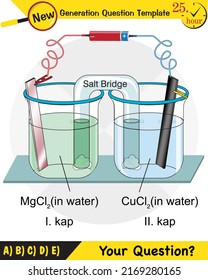 Chemistry lesson electrode topic, salt bridges, electrochemical batteries, next generation question template