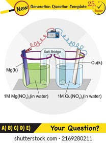 Tema del electrodo de la lección de química, puentes de sal, baterías electroquímicas, plantilla de preguntas de próxima generación