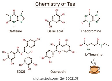 Chemistry of tea.  Molecular structures of caffeine, theanine, EGCG, gallic acid, theobromine, quercetin. Vector illustration