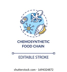 Chemosynthetic food chain concept icon. Energy producer and consumers organisms. Marine ecosystem idea thin line illustration. Vector isolated outline RGB color drawing. Editable stroke