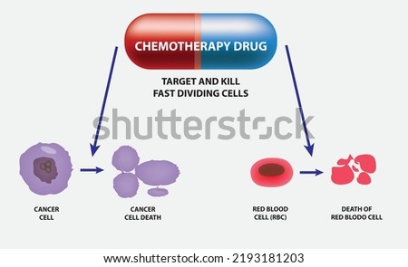 chemotherapy drug kills the target and kill fast dividing cells like cancer cells and red blood cell 