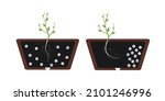 Chemotropism is defined as the growth of organisms navigated by chemical stimulus from outside of the organism. The root of the plant tends to the soil with fertilizers, nessesary for growth. 