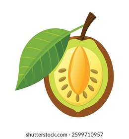chempedak vector icon on white background
