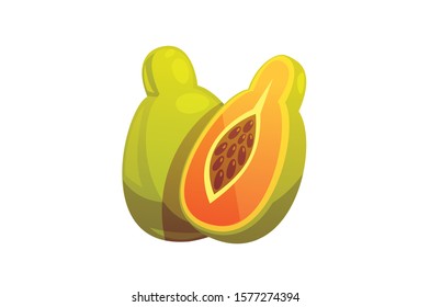 Cherimoya Avocado Green exotic fruit vector illustration