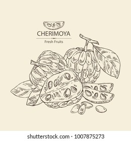 Cherimoya: fruit, cherimoya slice and leaves. Vector hand drawn illustration.