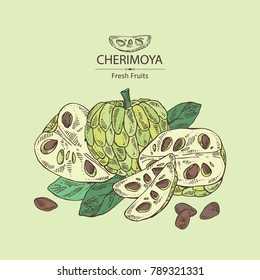 Cherimoya: fruit, cherimoya slice and leaves. Vector hand drawn illustration.