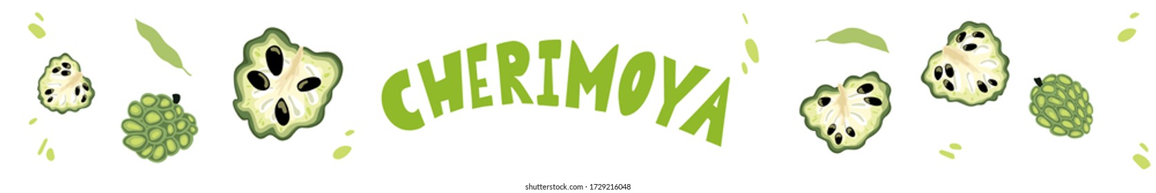 Cherimoya fruit, cherimoya slices. Vector hand drawn illustration.