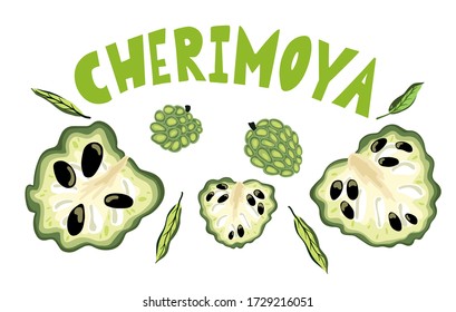 Frutos de Cherimoya, rodajas de cherimoya. Ilustración dibujada a mano por vectores.