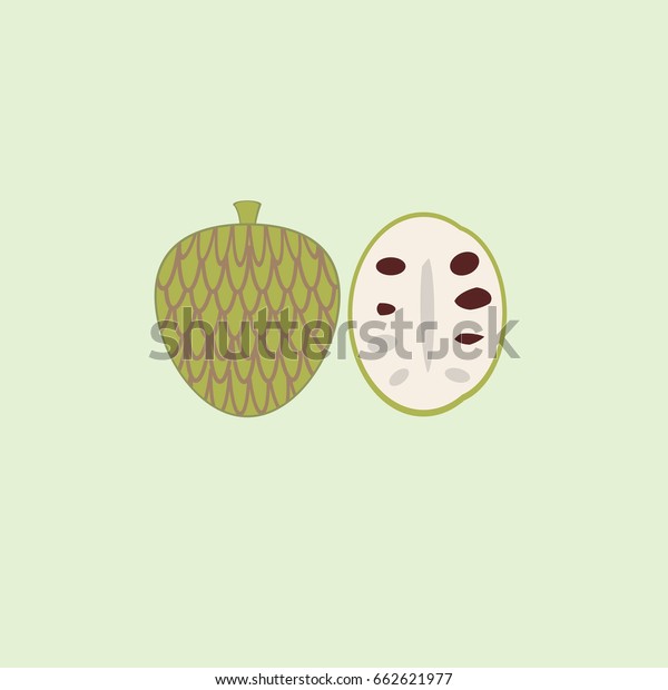 Cherimoya Vector Stock Vector Royalty Free 662621977 Shutterstock