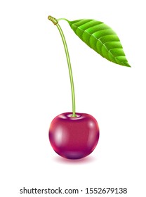 Cherrie isolated. Vector illustration .