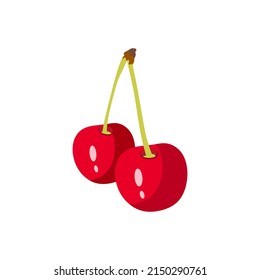 Cherrie vector illustration. Cherrie fruit isolated on white background.