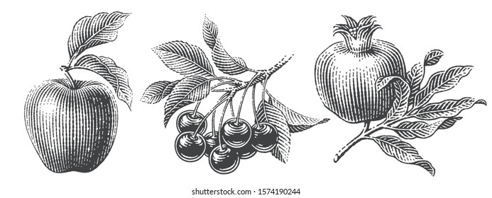 Cherries, apple and pomegranate composition set. Hand drawn engraving style illustrations.