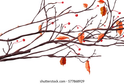 Cherries branches in autumn