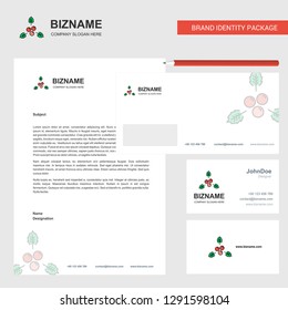 Cherries Business Letterhead, Envelope and visiting Card Design vector template